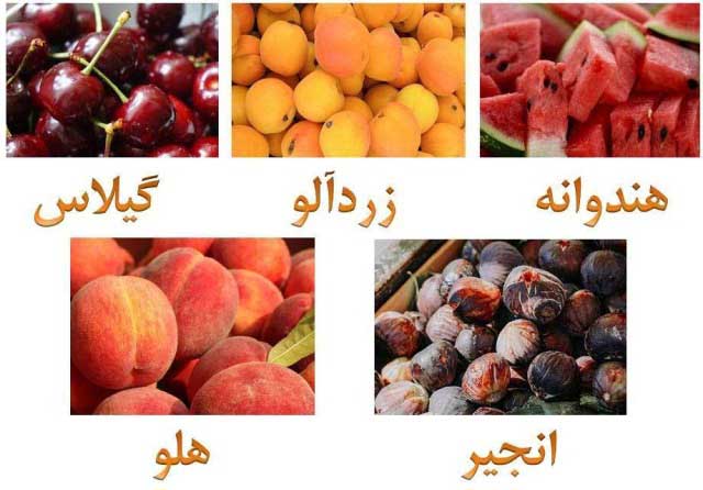 میوه های تابستانی ایران